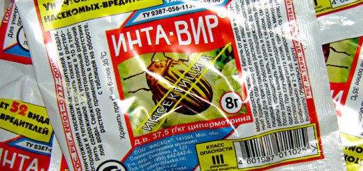Як позбутися від мошок на кімнатних квітах | Що робити якщо у кольорах завелися мошки