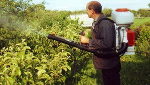 Хімічні і традиційні засоби для боротьби з бурянами на городі