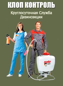 Дезінсекція від тарганів: куди звернутися за обробкою приміщення Дезінсекція від тарганів: куди звернутися за обробкою приміщення