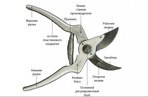 Як правильно вибрати секатор. Як правильно вибрати секатор.