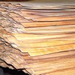 Деревяні двері : відхід від стандартів дизайну інтерєрів