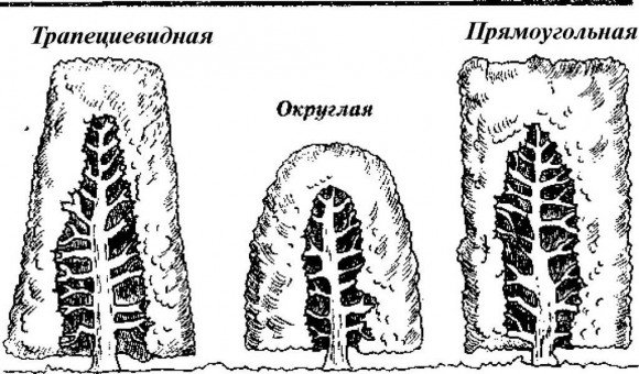 Як своїми руками зробити живопліт? Як своїми руками зробити живопліт?