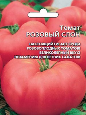 Кращі низькорослі, штамбові, детермінантні та врожайні сорти томатів для відкритого грунту