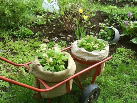 Кілька оригінальних способів прикраси городу Кілька оригінальних способів прикраси городу