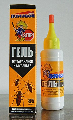 Обробка приміщень від комах: ціни, відгуки та особливості процедури