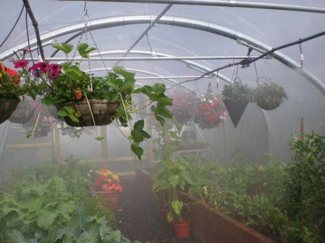 Полив у теплиці своїми руками: пристрій і рішення