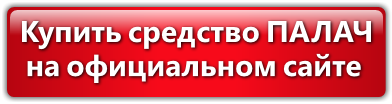 Засіб від клопів Кат: інструкція по застосуванню і де його купити