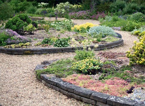 Гравійний сад в ландшафтному дизайні