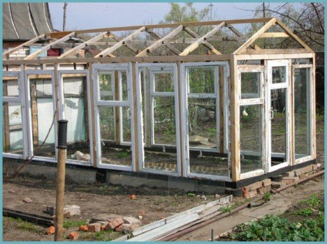 Теплиця з рам своїми руками: поради і тонкощі Теплиця з рам своїми руками: поради і тонкощі