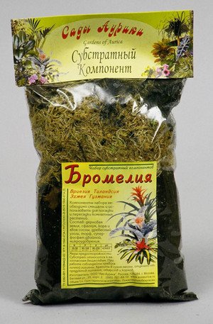 Як здійснюється розмноження гузмании, а також догляд за нею і пересадка?