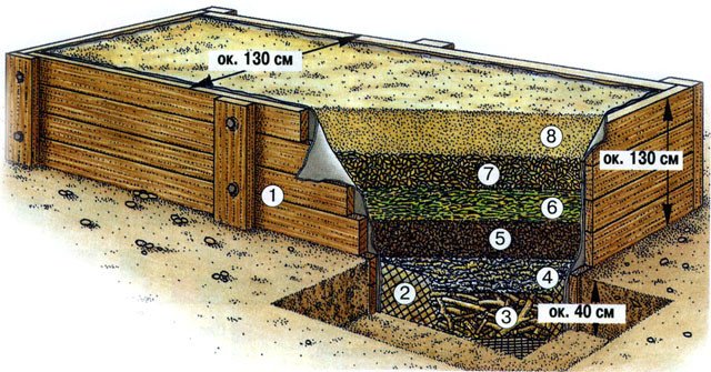 Як спорудити високі грядки своїми руками (фото і відео інструкція)?