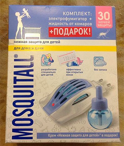 Як позбутися від молі в квартирі