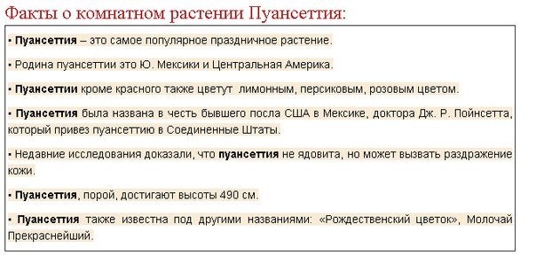 Догляд за пуасентией в домашніх умовах і правильна пересадка, якщо опадає листя