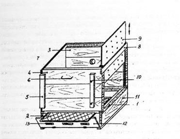 Двухматочное утримання бджіл у вуликах: методи бджільництва