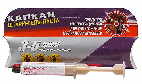 Як позбутися від тарганів у квартирі назавжди: ефективні методи