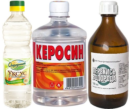 Як убити гнид і вошей: знищуємо паразитів правильно