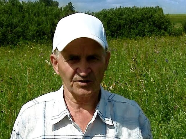 Повний курс відео лекції по бджільництву від Кашковского