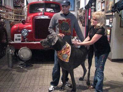 Найбільша собака у світі: ТОП 3 рейтинг