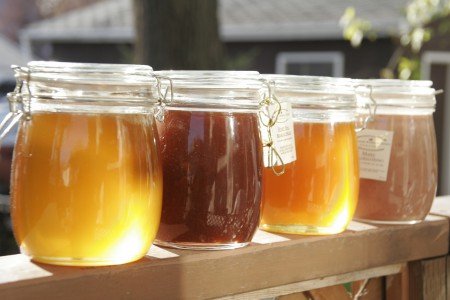 Які тари для зберігання меду бувають і що вибрати