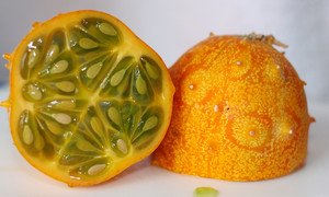 Користь і способи вирощування екзотичного фрукта ківано