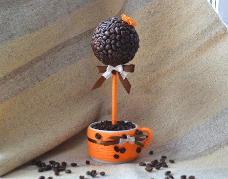 Топіарі кавове дерево своїми руками Топіарі кавове дерево своїми руками