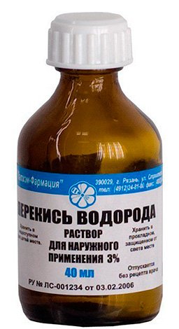 Що робити, якщо вкусив шершень, і наскільки це небезпечно? Що робити, якщо вкусив шершень, і наскільки це небезпечно?