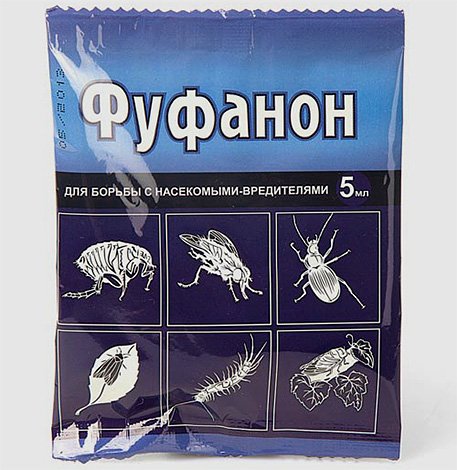Де купити Карбофос від клопів і скільки він коштує?