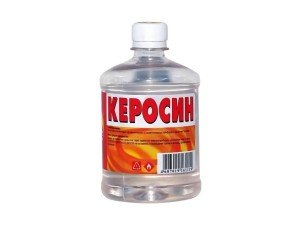 Народні засоби від постільних клопів у квартирі: як застосовувати, методи знищення: відгуки