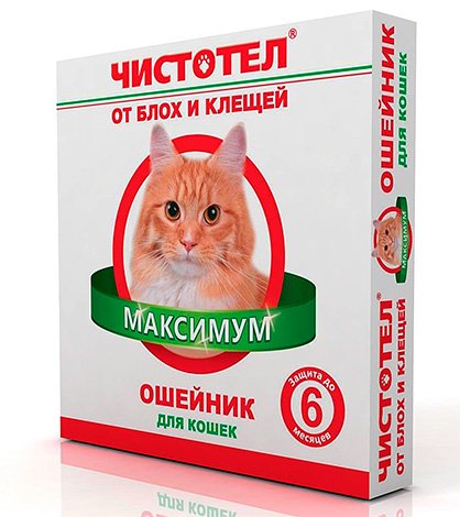 Як вивести бліх у кішки в домашніх умовах