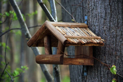Як самостійно зробити годівницю для птахів Як самостійно зробити годівницю для птахів