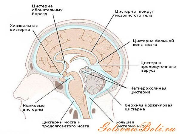 Ретроцеребеллярная кіста головного мозку: причини симптоми і лікування