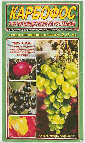 Де купити Карбофос від клопів і скільки він коштує?