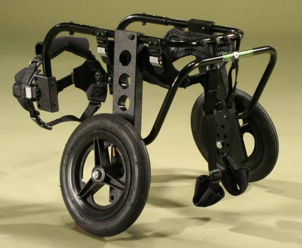 Коляска для собак: огляд інвалідних і прогулянкових варіантів