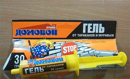 Боротьба з тарганами в квартирі: від народних засобів до сучасних ефективних способів виведення Боротьба з тарганами в квартирі: від народних засобів до сучасних ефективних способів виведення