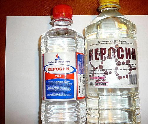 Земляні оси: як позбутися від цих комах безпечно для свого здоровя