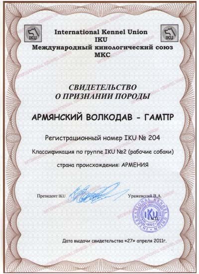 Гампр – вірменський вовкодав: все про породу