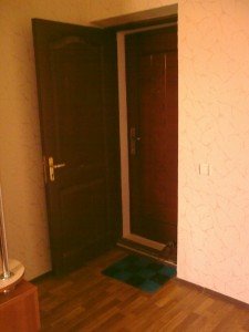 Друга вхідні двері в квартиру або будинок: особливості застосування металевих і деревяних дверей