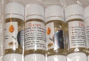 Засіб для знищення клопів в домашніх умовах: як і чим вивести, методи боротьби в домашніх умовах, опис