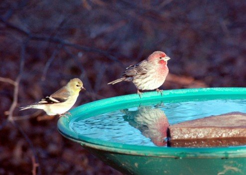 Виготовляємо фігурки для саду своїми руками