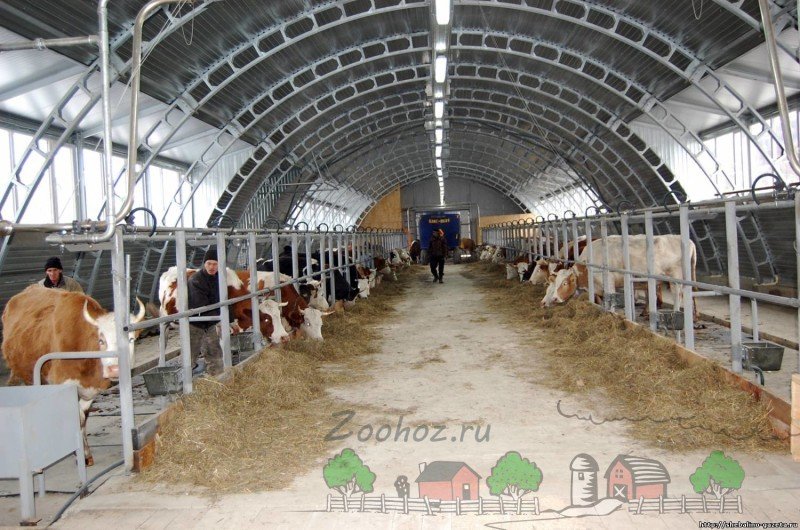 Міні ферми для корів: фото і відео огляд