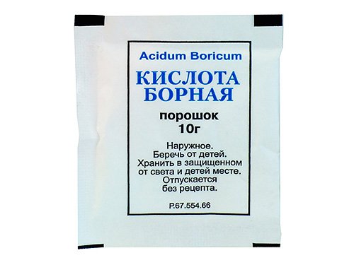 Чим труїти тарганів у квартирі: вибираємо правильний засіб