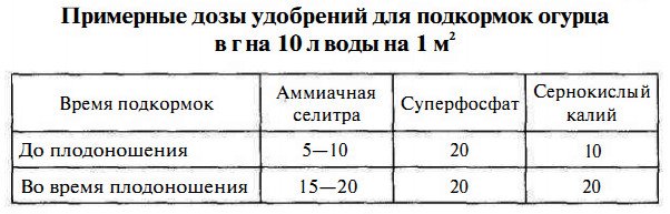 Перша та наступні підживлення розсади огірків в теплиці з полікарбонату (відео інструкція)