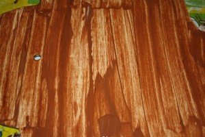Текстуроване покриття для дерева: особливості оздоблювального покриття, достоїнства і недоліки