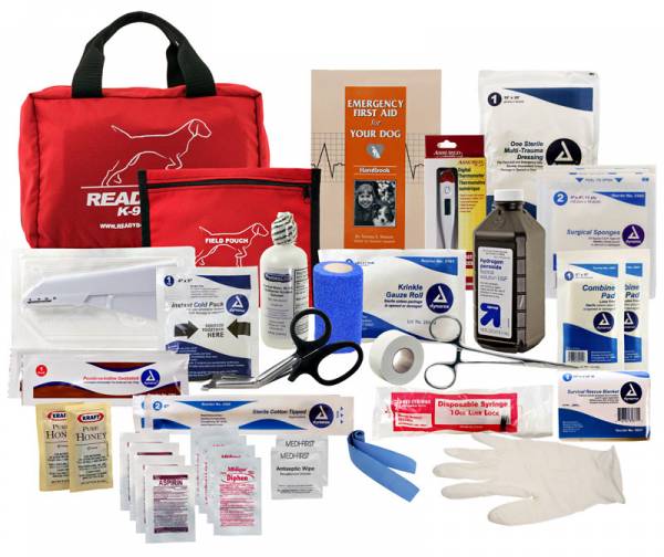 Як приймати пологи у собаки? Детальна інструкція