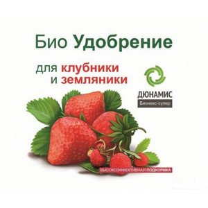 Чим удобрювати полуницю навесні під час цвітіння?