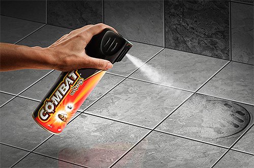 Знищення тарганів у квартирі: ефективні способи