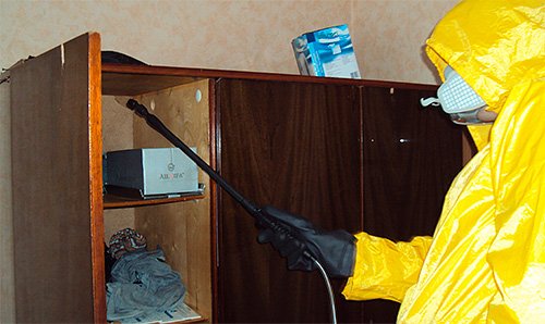 Обробка квартири від тарганів Обробка квартири від тарганів