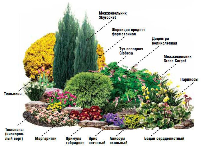 Клумба безперервного цвітіння з багаторічників і однорічників (схеми)