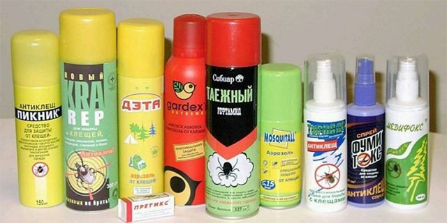 Кошти від кліщів для людей і їхніх дітей – ефективні препарати проти кліщів