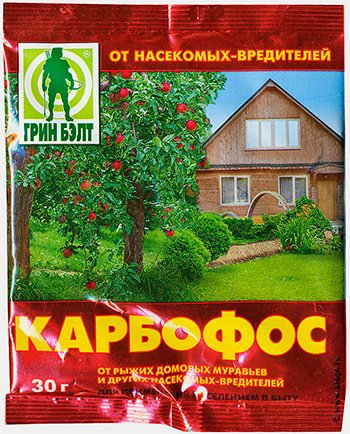 Засоби для знищення постільних клопів: розглянемо сучасні і безпечні, а також де їх купити